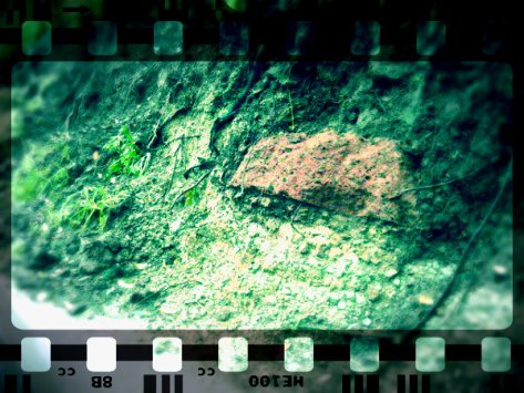 Affioramenti potenzialmente relativi alla Necropoli Etrusca di Orvieto