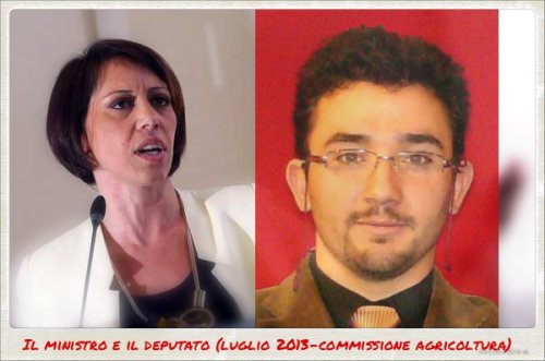 ministro e gallinella