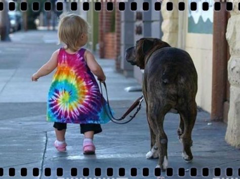 I nostri amici animali