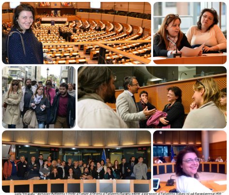 collage bruxelles 2014