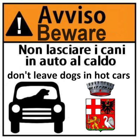 Non lasciare i cani in auto al caldo