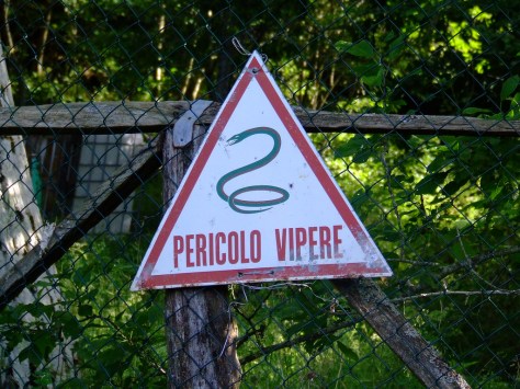 pericolo vipere
