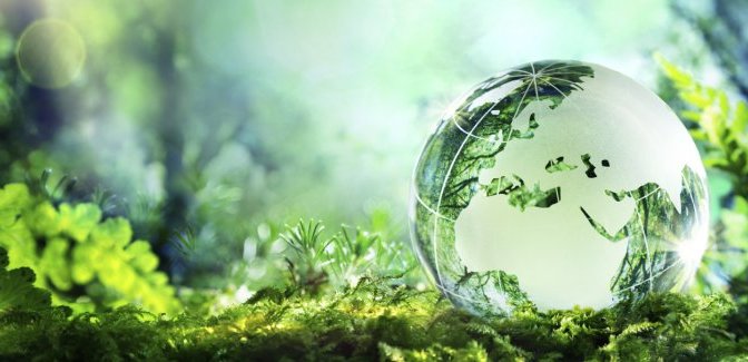 Giornata della terra 2016: Un nuovo albero ogni neonato.