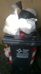 cassonetti pannolini 2