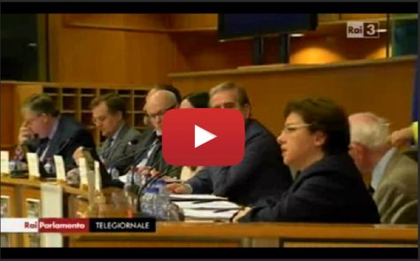 Lucia Vergaglia Video Rai Parlamento