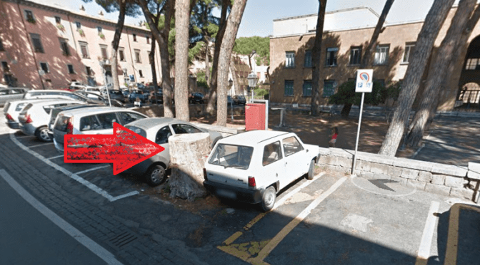 Alberi “ammalati” e tagli indiscriminati.