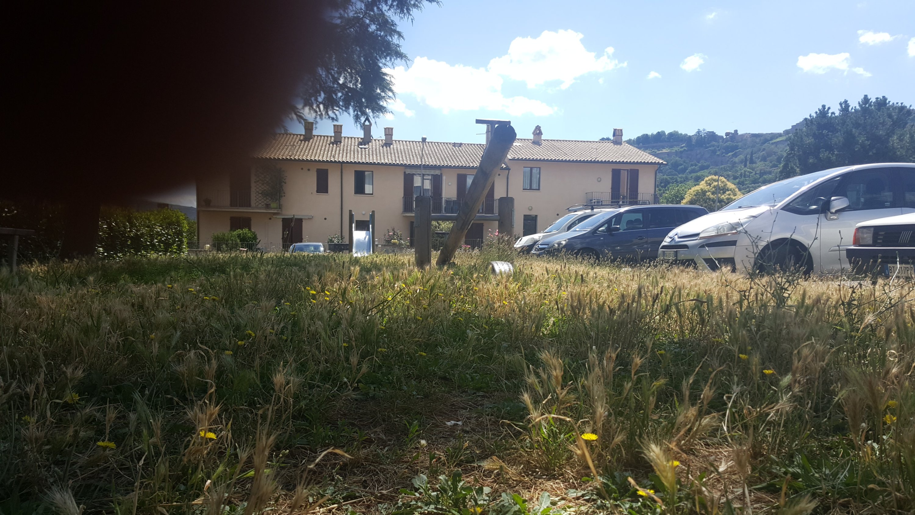 Con l'erba alta i pericoli per i bimbi restano nascosti