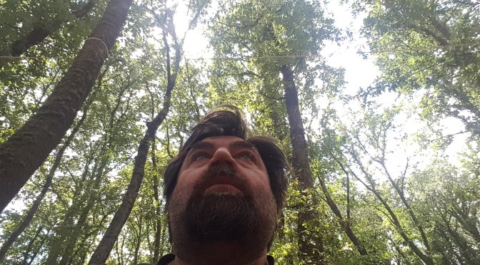 Piano incendi partecipato