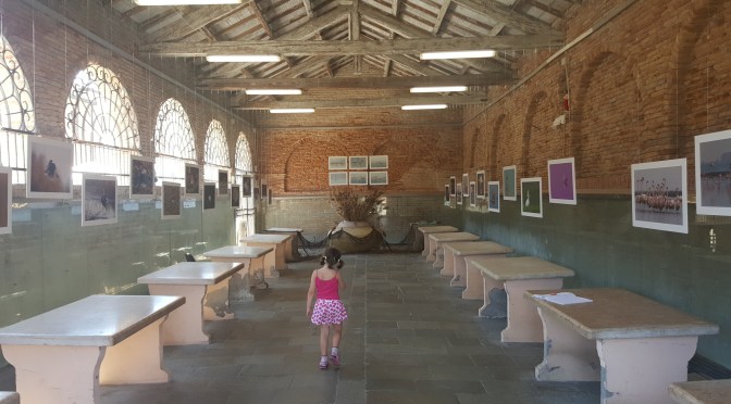 Istituzioni culturali a misura di bambini