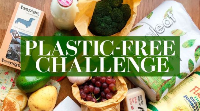 Mozione Orvieto Plastic Free