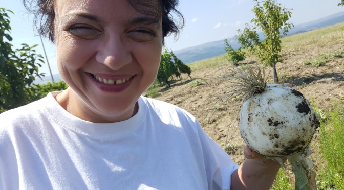 La fecondità parte dai territori