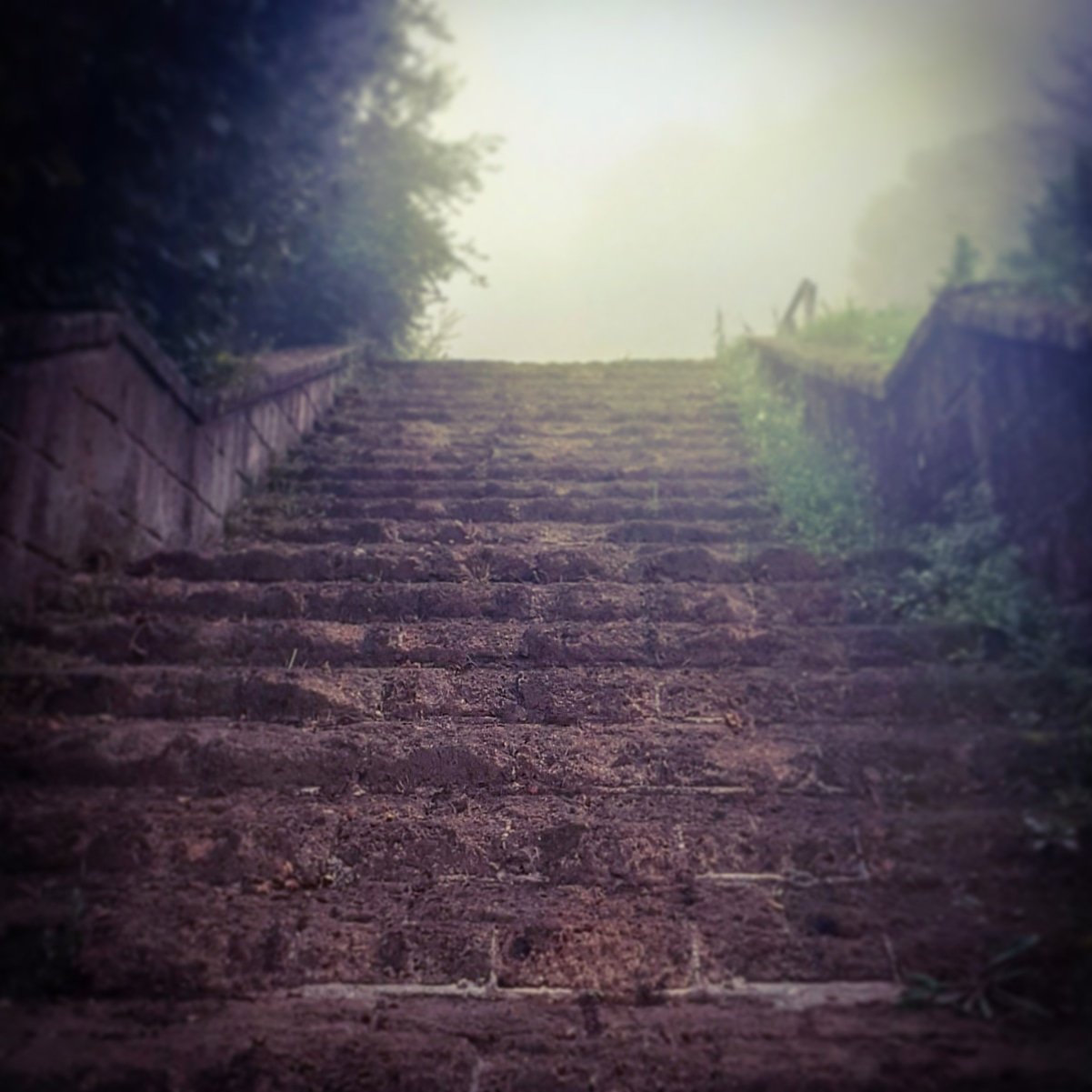 Luoghi magici e nascosti