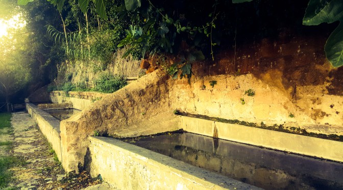 I fontanili pubblici