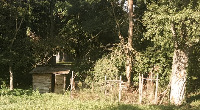 Interrogazione Capanni in zone esondabili