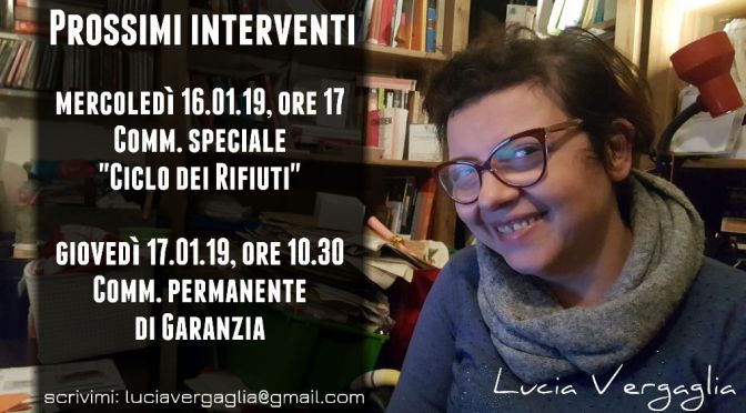 Lucia Vergaglia: interventi in commissione il 16 e 17 gennaio 2019