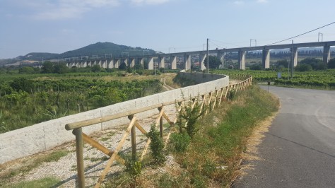 Opere difensive lungo il fiume Paglia duramente contestate da parte della popolazione di Allerona