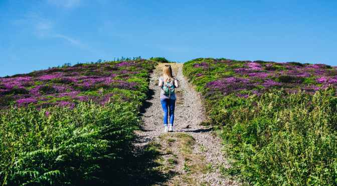 Turismo esperienziale ad Orvieto. La proposta Lavanda